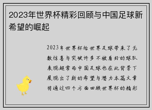 2023年世界杯精彩回顾与中国足球新希望的崛起